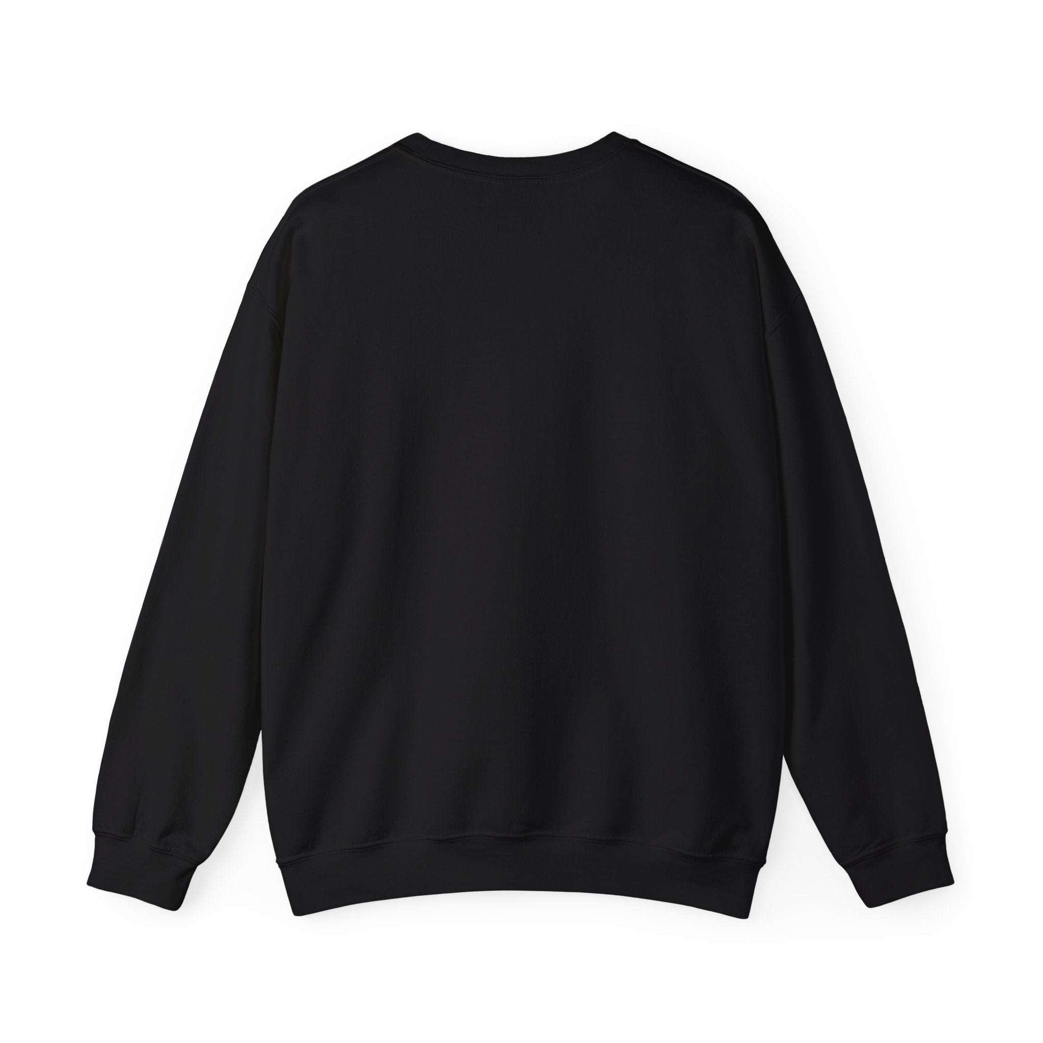 Vintage World Map Crewneck Sweatshirt — Retro Polar Projection Graphic