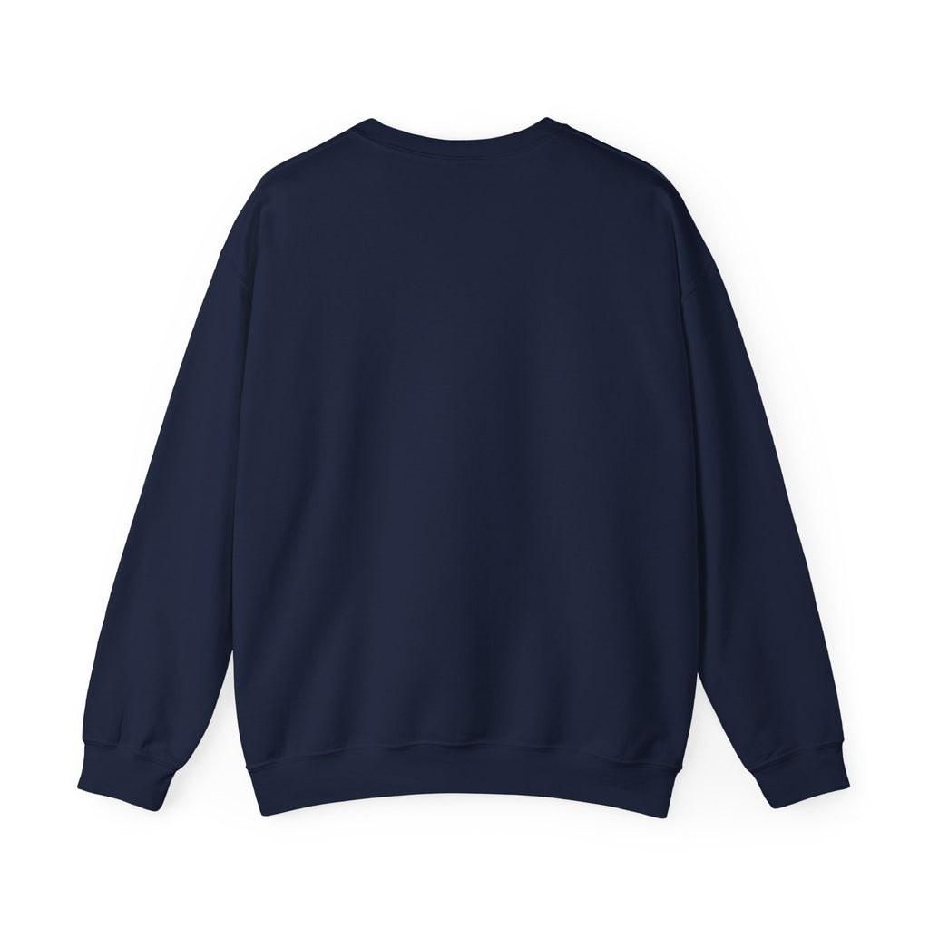 Vintage World Map Crewneck Sweatshirt — Retro Polar Projection Graphic