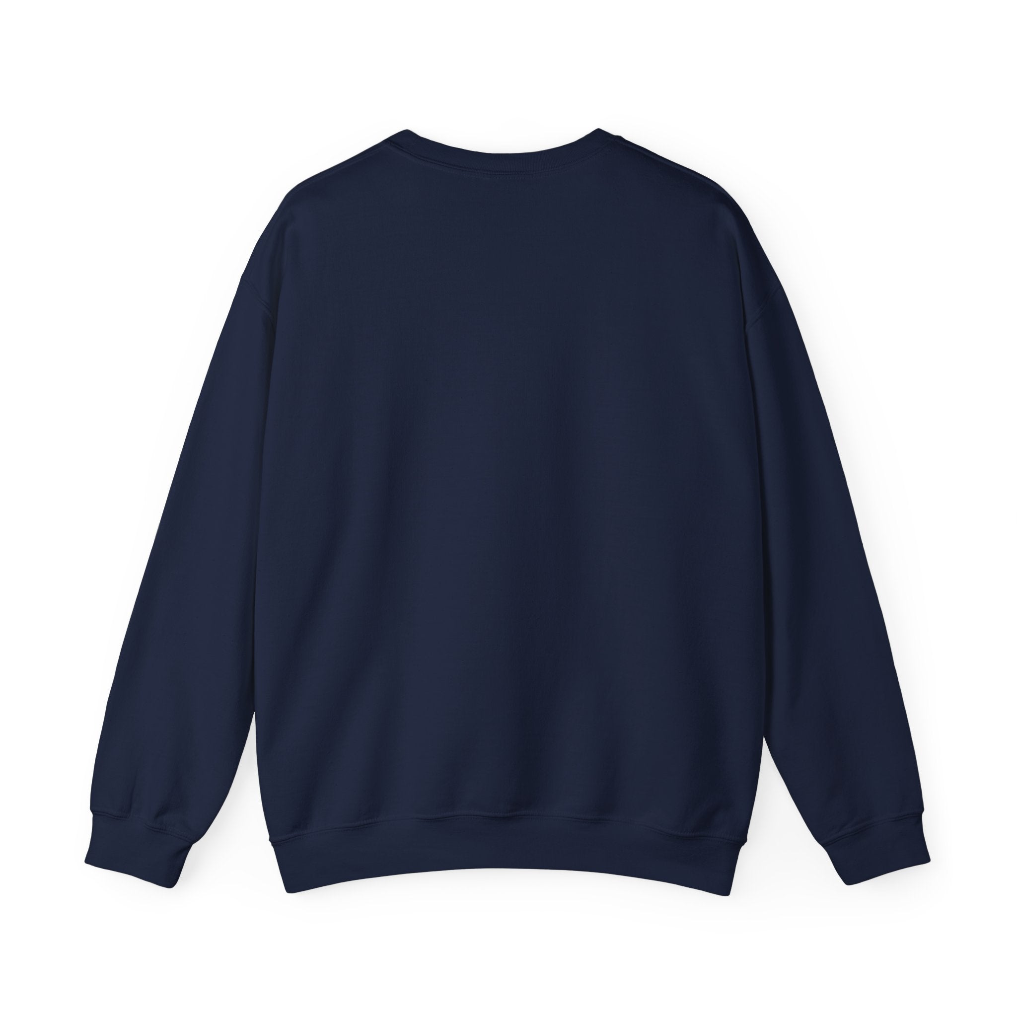 Vintage World Map Crewneck Sweatshirt — Retro Polar Projection Graphic