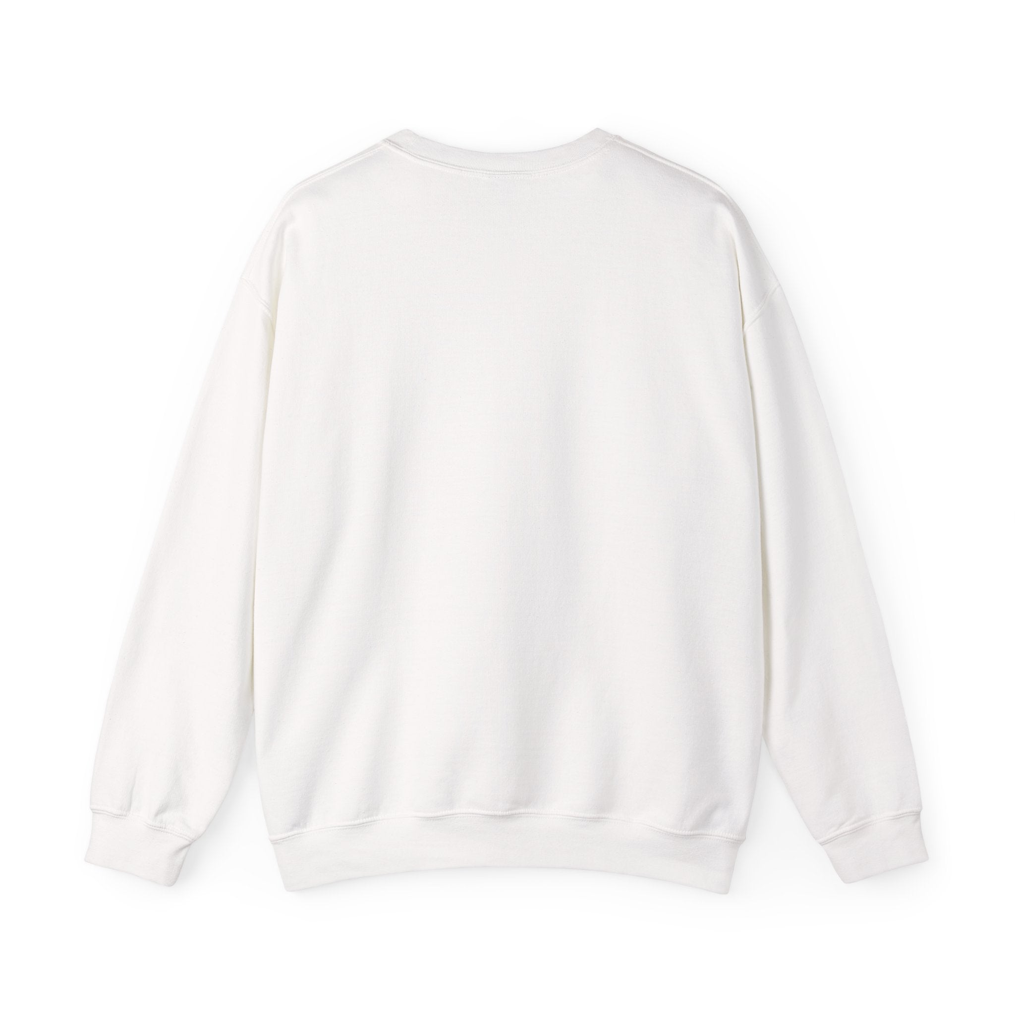 Vintage World Map Crewneck Sweatshirt — Retro Polar Projection Graphic