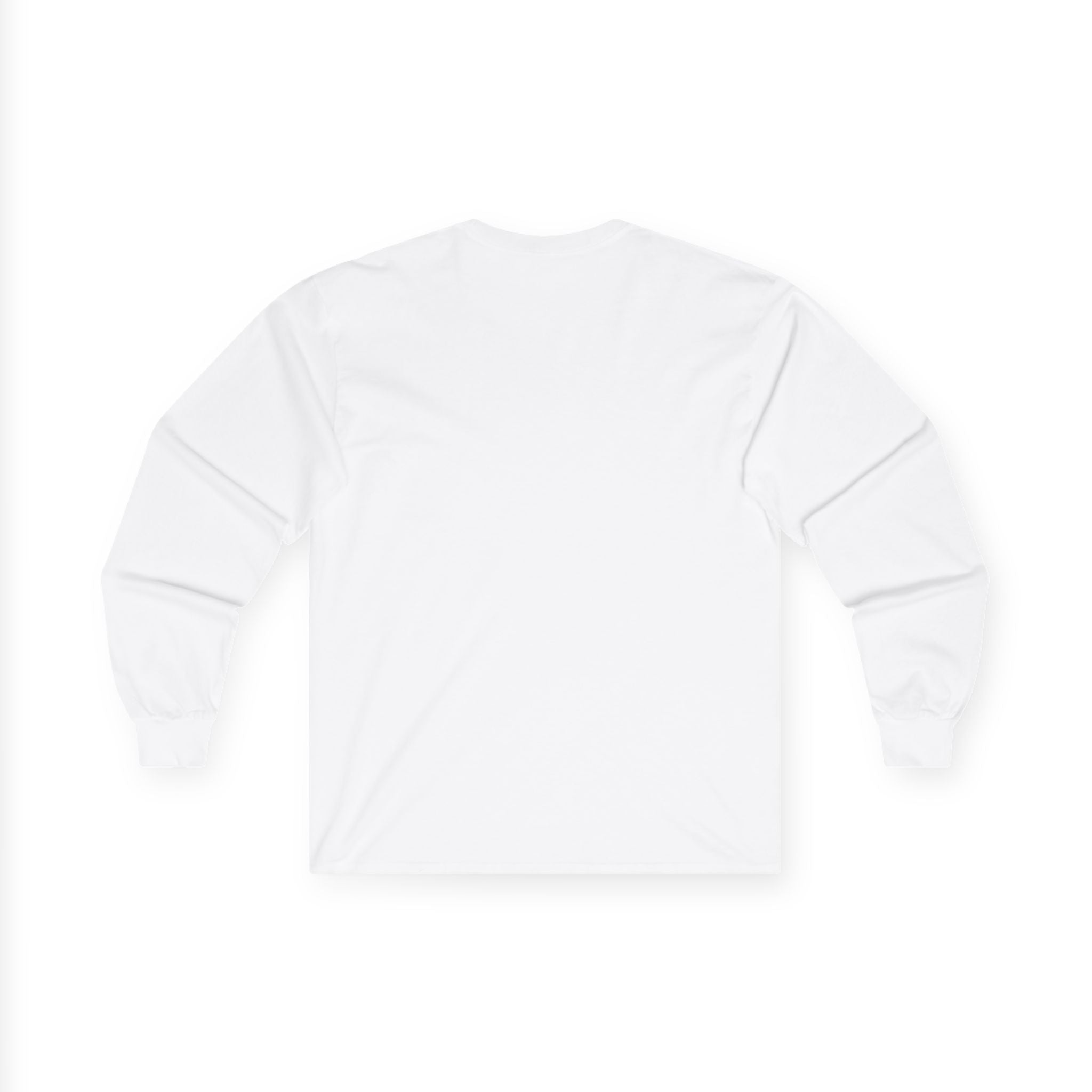 Flat Earth Map Long Sleeve Tee — Vintage 'Seal of the World' Graphic
